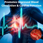 Research Labs Ultra Alta Pureza PQQ 20mg Cápsulas, 120 Cápsulas – Suplemento de Pirroloquinolina Quinona para Energía, Corazón y Cognitivo