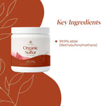 PURE Azufre Orgánico en Polvo MSM 99.9% - 400g