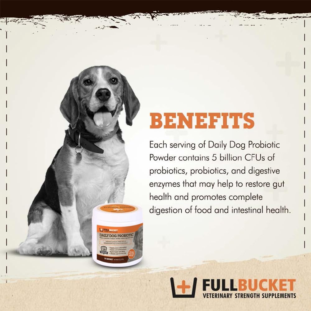 Daily Dog Probiotic 30 Servicios - Apoya la digestión natural, trata y previene la diarrea - Probióticos, prebióticos y enzimas digestivas en polvo sabroso para perros