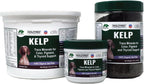 Dogzymes Alga Noruega Orgánica para Perros - 340 g