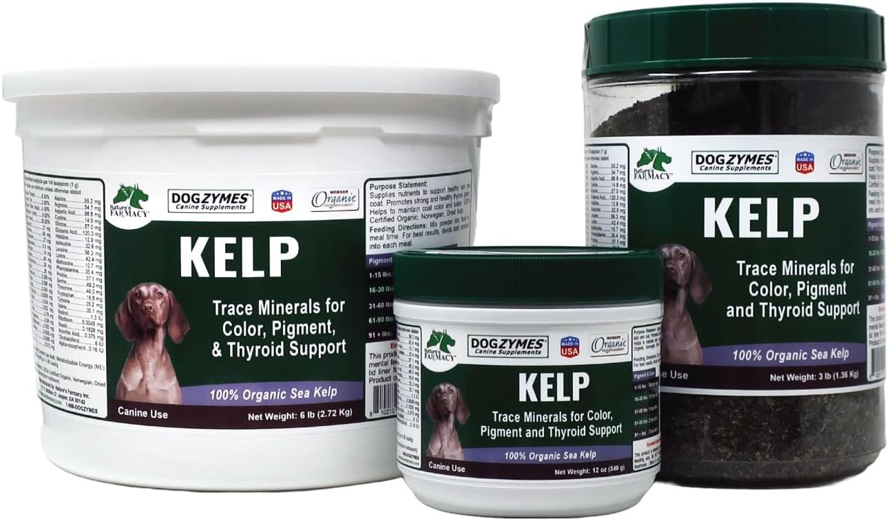 Dogzymes Alga Noruega Orgánica para Perros - 340 g