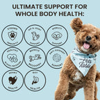 The Pets Table Multivitamínico 8 en 1 para Perros, Masticables Sabor Pollo, 50 Chews