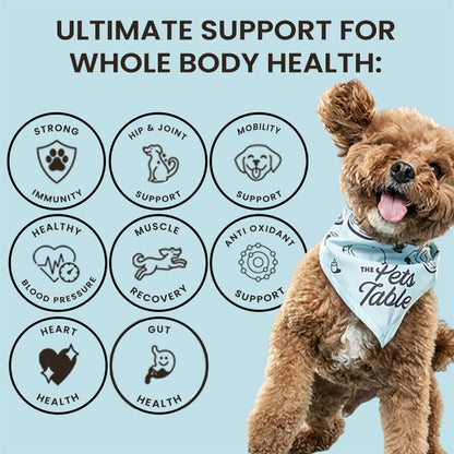 The Pets Table Multivitamínico 8 en 1 para – Glucosamina y MSM: Ambos son bloques fundamentales para la salud de – Image 5