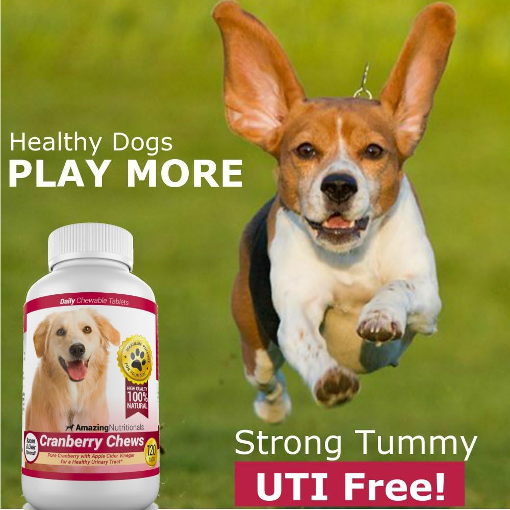 Amazing Cranberry Suplemento de Arándano para Perros - Apoyo Urinario y de Vejiga - 120 Masticables con Vinagre de Manzana para la Salud Inmunitaria - Sabor Bacon