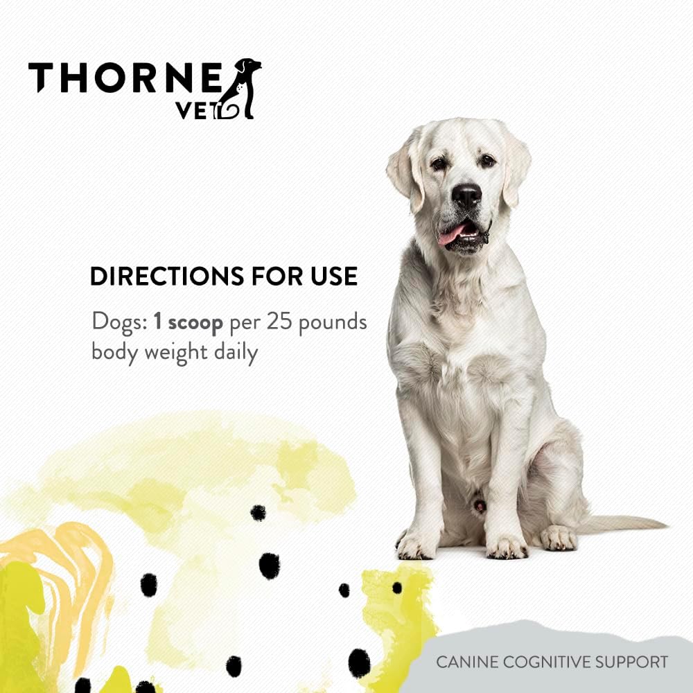 ThorneVet Canine Cognitive Support Powder - Apoyo Cognitivo para Perros Mayores (90 Dosis)