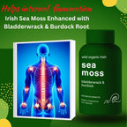 Advanced Bionetix Cápsulas de Musgo Marino Orgánico Irish Sea Moss con Bladderwrack y Bardana (120 Cápsulas)