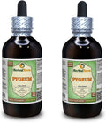 African Cherry Pygeum (Prunus Africana) Glicerita, Extracto Líquido Sin Alcohol de Corteza Seca – 2x120 ml | HerbalTerra