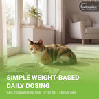 Vetoquinol Triglyceride Omega - Aceite de Pescado para Perros y Gatos - Apoya la Piel, el Pelaje y la Respuesta Inmunitaria - Suplemento con Mezcla de Vitaminas para el Corazón, Ojos, Huesos y Músculos - 60 Cápsulas