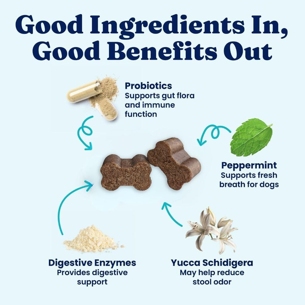 Solid Gold No Poo Chews para Perros - Deterrente de Coprofagia - 60 Masticables