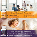 Multivitamínico AM PM - Suplemento Día y Noche con Rhodiola Rosea, L-Theanina y Ashwagandha