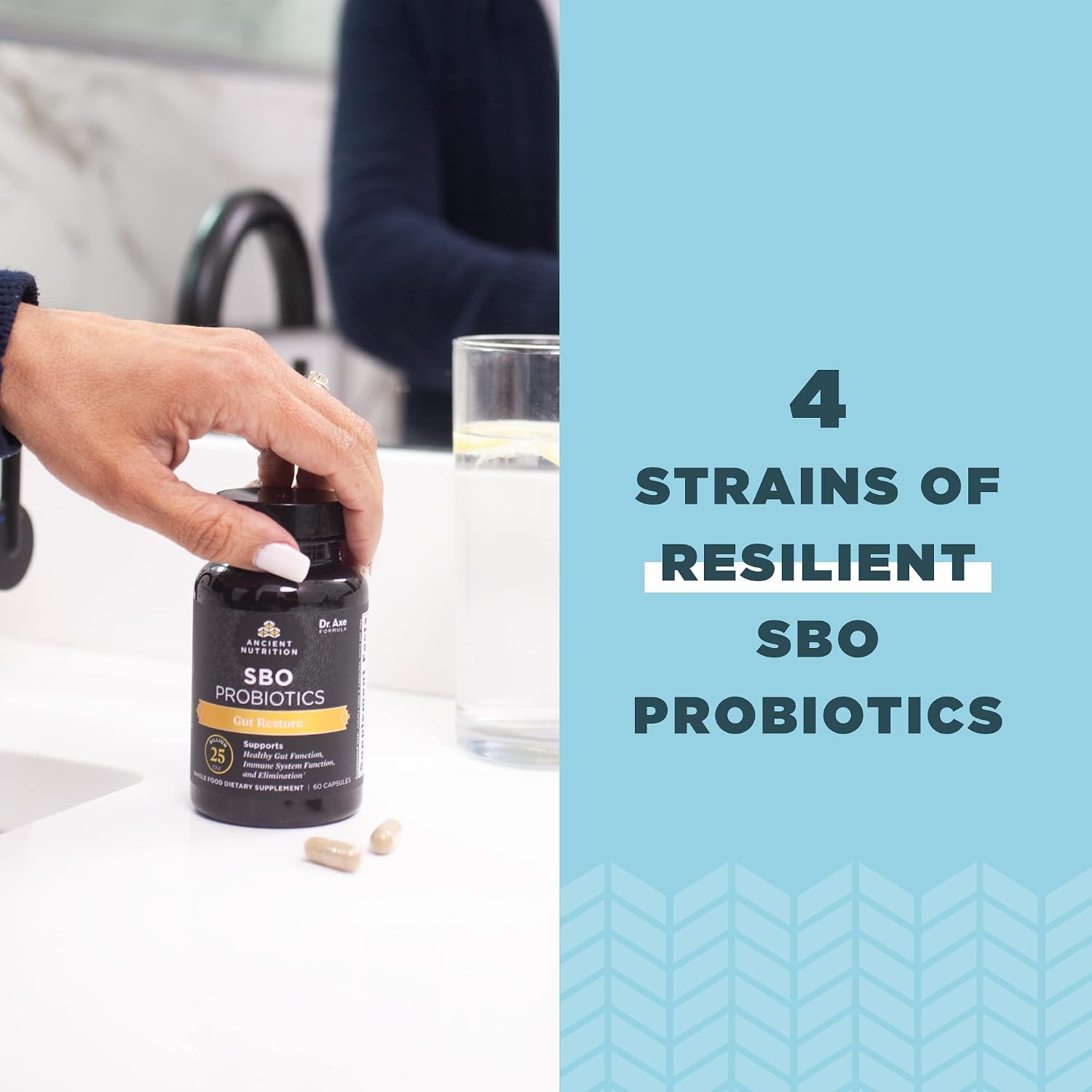 Ancient Nutrition Probióticos SBO Gut Restore, 60 Cápsulas