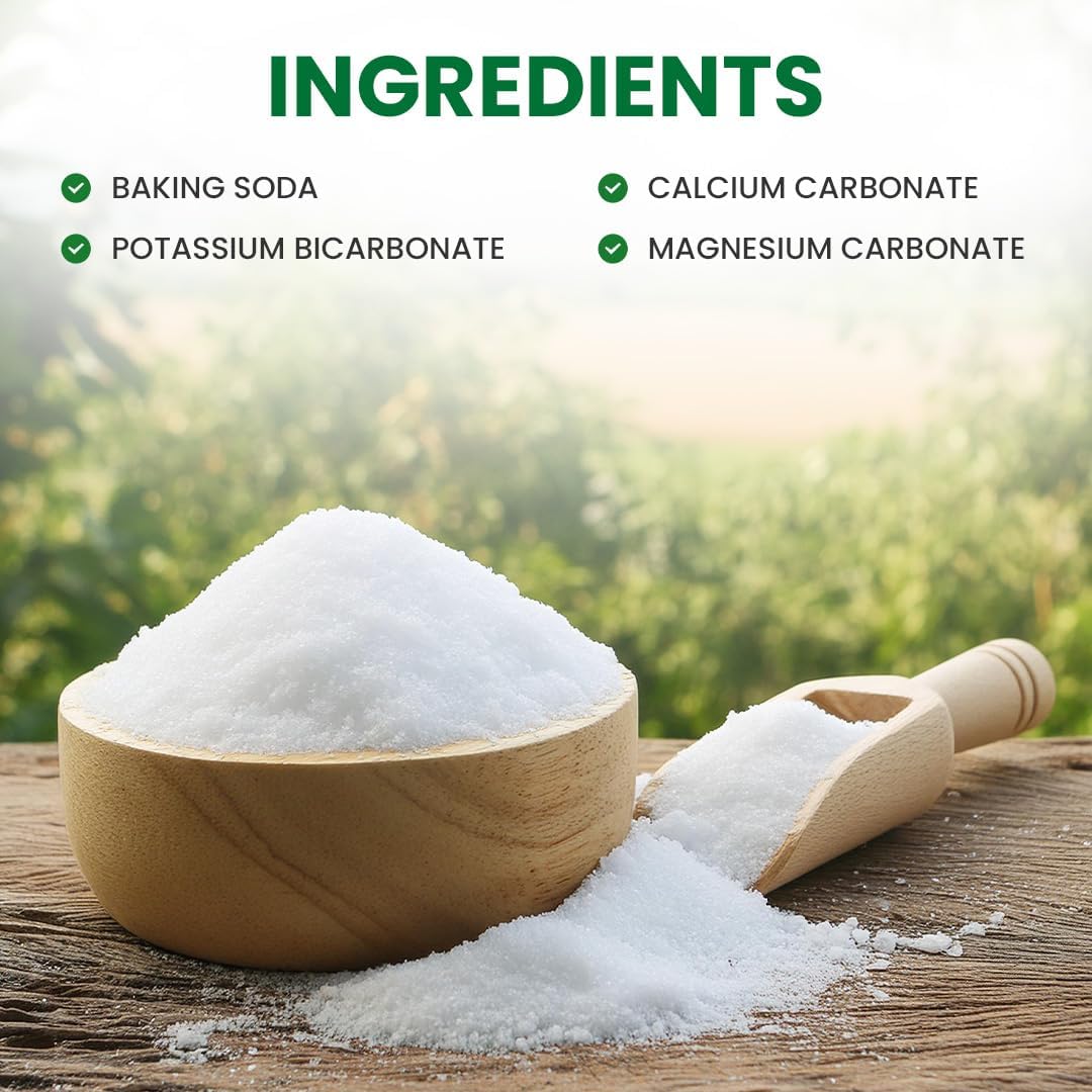 Sales PHOUR Alkalinecare – Suplemento Mineral Alcalino