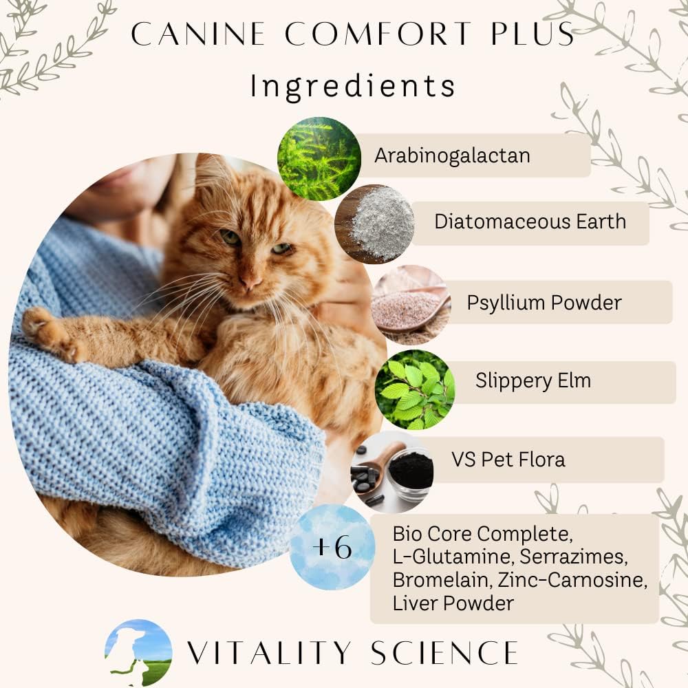 Vitality Science TRDV Protocol for Dogs | Probióticos para Diarrea y Soporte Digestivo | Tamaño Pequeño (Sabor a Carne)