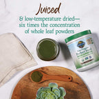Garden of Life Raw Organic Perfect Food - Superalimento Verde en Polvo Sabor Chocolate, 30 Raciones