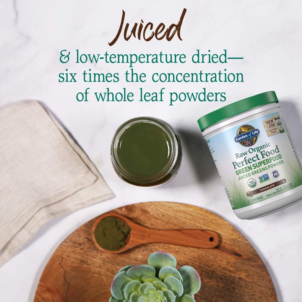 Garden of Life Raw Organic Perfect Food - Superalimento Verde en Polvo Sabor Chocolate, 30 Raciones