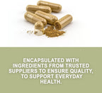 Evergreen Herbs Moringa Capsules 90 Cápsulas, 450mg