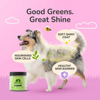 kin+kind Complemento para piel y pelaje para perros y gatos, 227 g