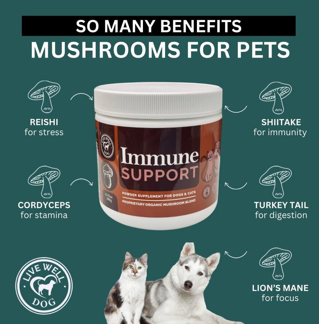 Live Well Dog Mezcla de Hongos en Polvo para Perros y Gatos 300g