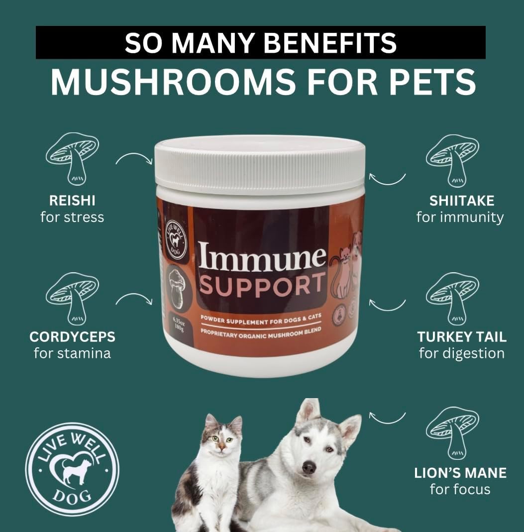 Live Well Dog Mezcla de Hongos en Polvo para Perros y Gatos 300g