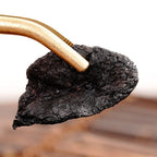 Poligonato (Huangjing) - Rizoma de Polygonatum Sibiricum - 500g