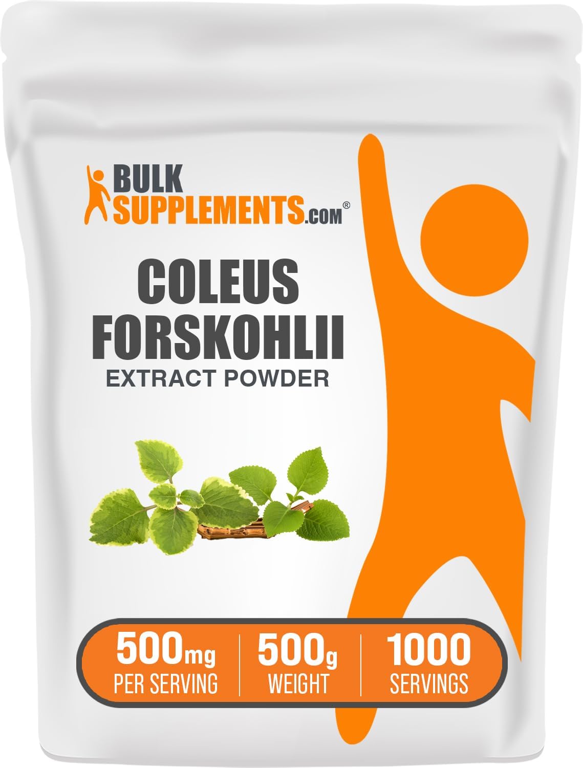 Extracto de Coleus Forskohlii en Polvo - Suplemento de Forskolina - 500g