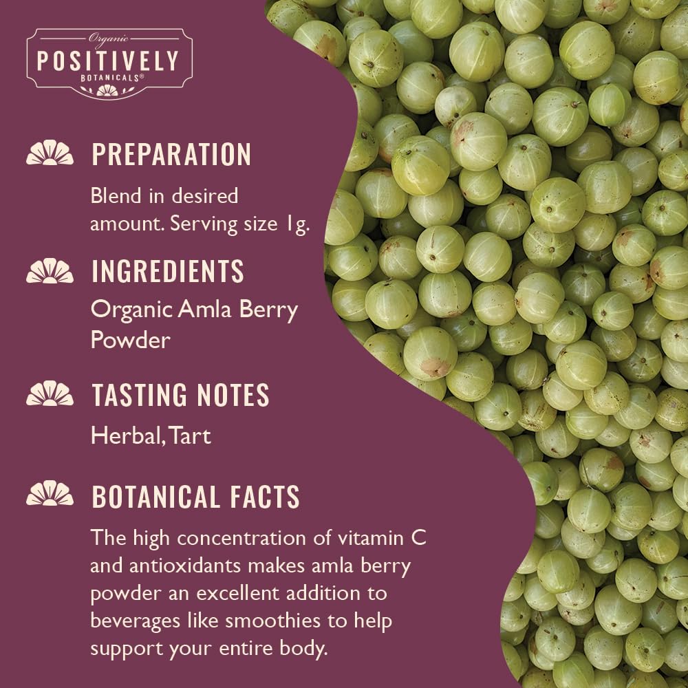 Organic Positively Botanicals Company - Polvo de baya de amla orgánico, 113 g