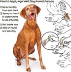 The Blissful Dog Vizsla Spray Aromaterapia Antienvejecimiento para Perros