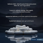 Renue By Science NAD+ Complete – 120 Cápsulas Liposomales con NMN, NR y Trigonelina