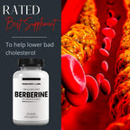 Research Labs Berberina 1500mg - Fórmula de Alta Absorción, 180 Cápsulas