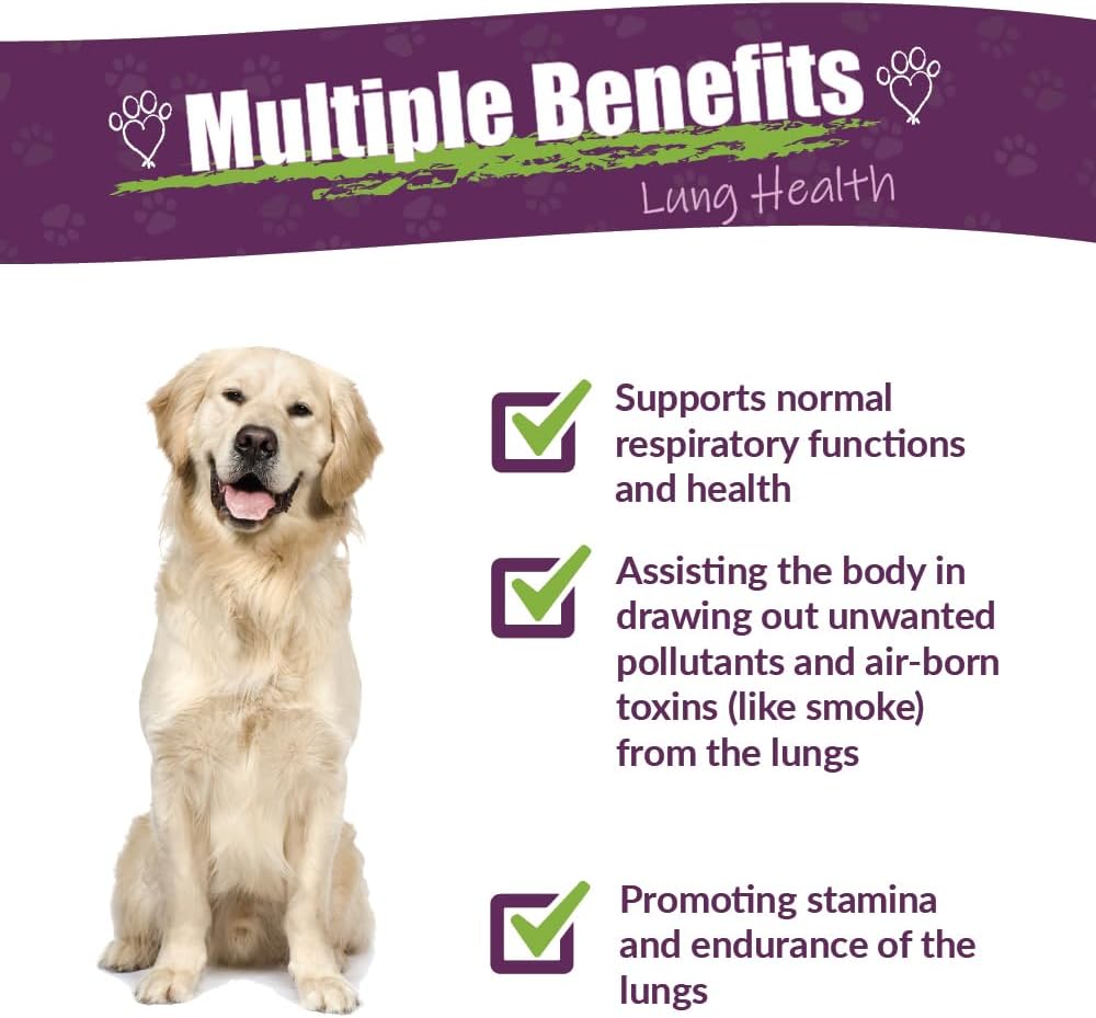 Amber NaturalZ Numo Care Apoyo Respiratorio para Perros | Fórmula Herbolaria para Ayudar a Mantener la Función Pulmonar Normal, Vías Respiratorias Claras y Salud Inmune | Ayuda Natural para la Comodidad al Respirar 118 ml