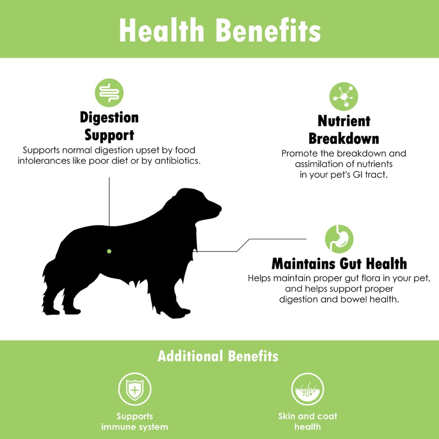 Proflora Probiótico para Perros - Digestión Saludable - Refuerzo del Sistema Inmunológico - Función Intestinal Normal - Salud de Piel y Pelaje - Suplemento para el Tracto Gastrointestinal - 90 Raciones, Paquete de 3