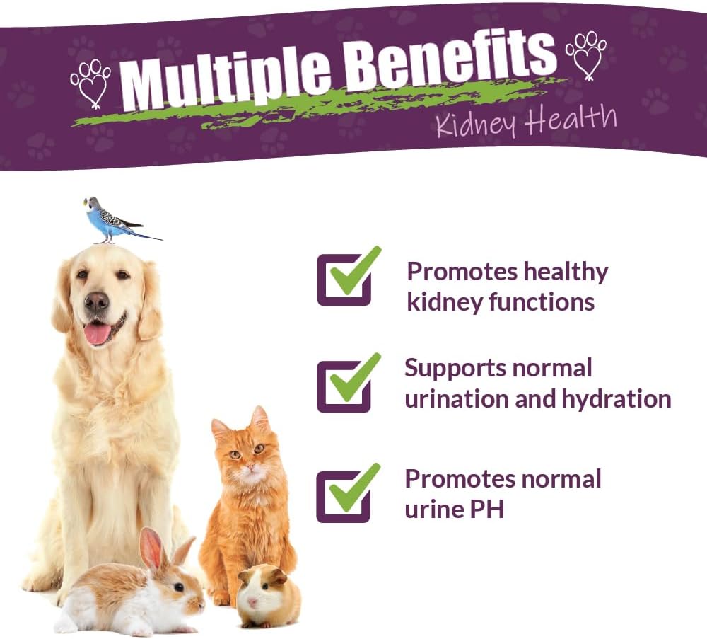 Amber NaturalZ Kidney Rejuvenator - Suplemento Herbal para la Función Renal de Mascotas (30 ml)