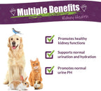 Amber NaturalZ Kidney Rejuvenator - Suplemento Herbal para la Función Renal de Mascotas (30 ml)