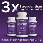THE MONK Organic Berberine Extract 2000mg - Berberine HCL Supplement