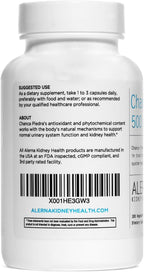 Chanca Piedra 500 mg Suplemento Herbal - 100 Cápsulas Vegetales (Pack de 1)