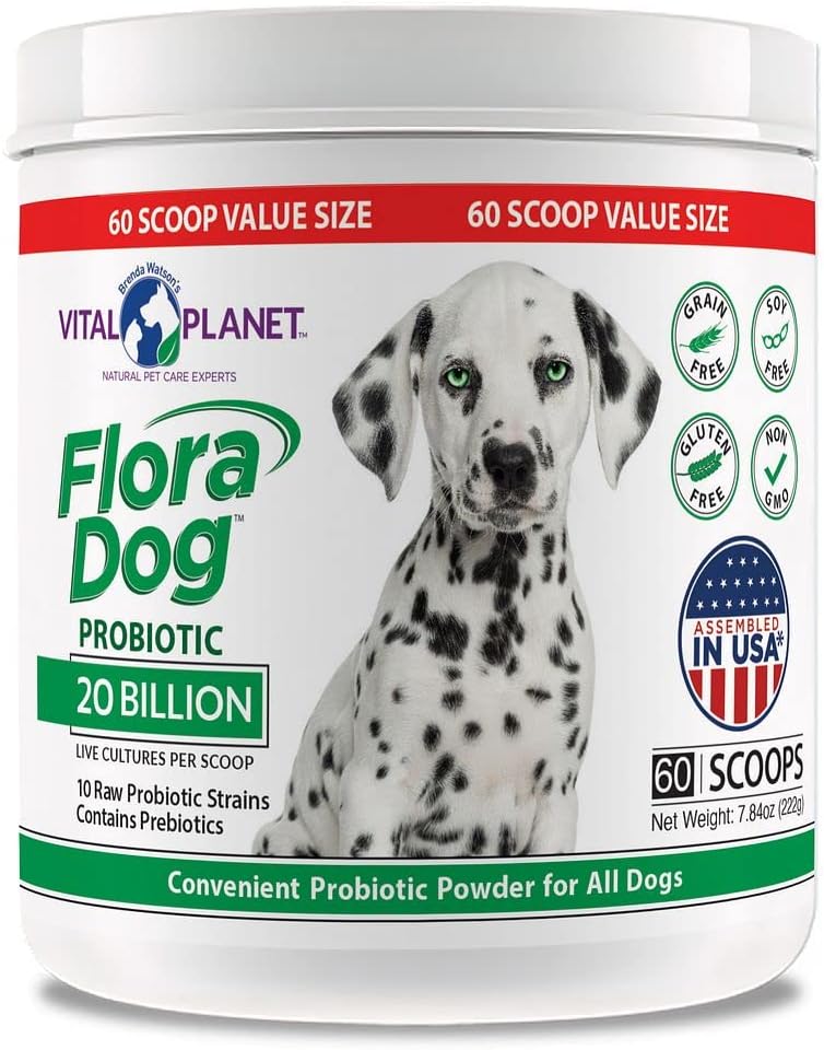 Vital Planet Flora Dog Probióticos en Polvo para Perros - 20 Mil Millones de UFC - 60 Dosis