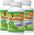 Sunshine Naturals Moringa Suplemento Dietético - 360 Cápsulas (3 Envases de 120)