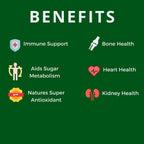 Active Again Hope Science IP6 Inositol 120 cápsulas
