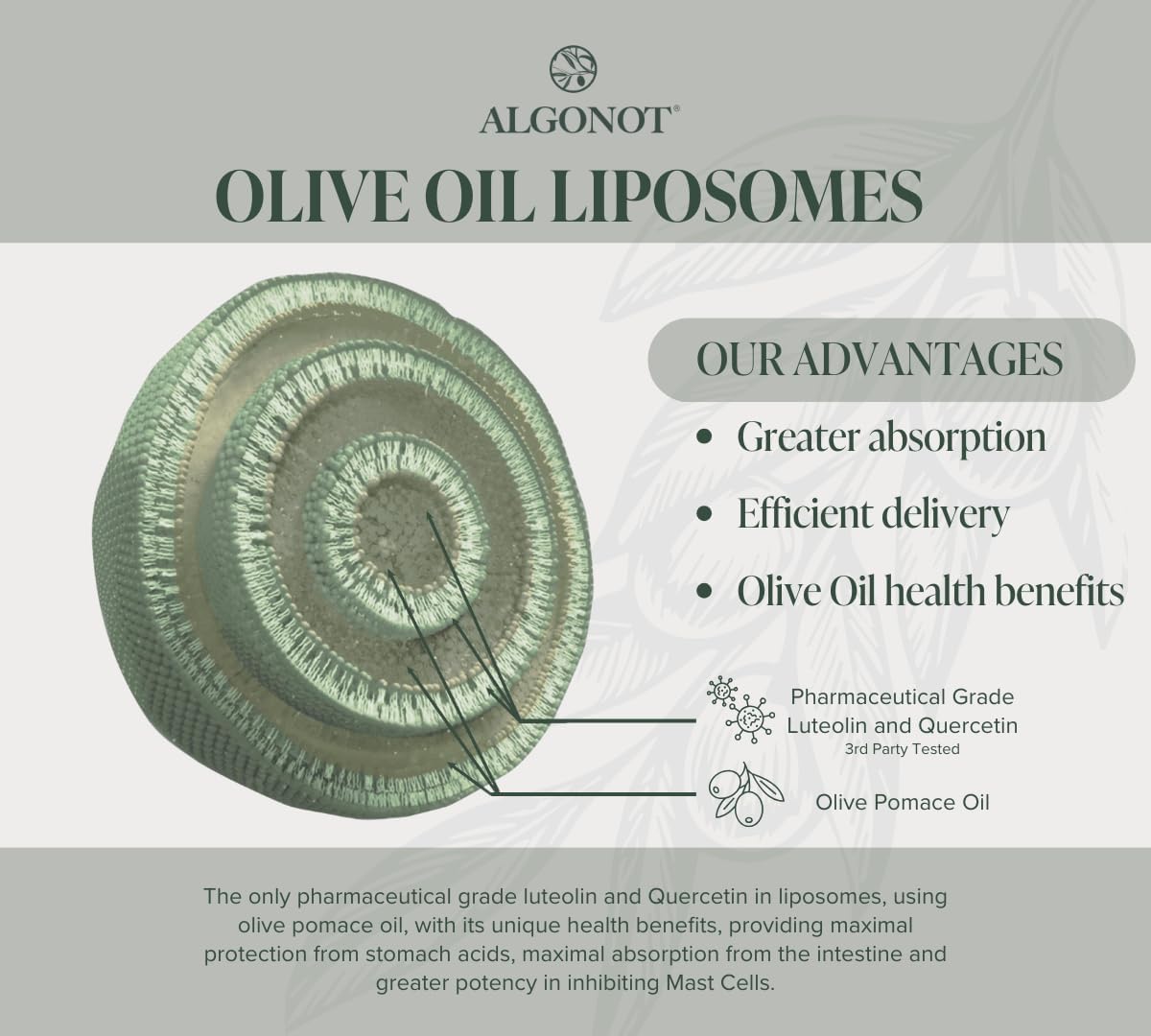 BrainGain, Luteolin and Key Ingredients with Olive Pomace Oil - 90 Capsules