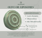 BrainGain - Luteolina liposomal con aceite de oliva virgen extra - Complemento alimenticio para la función cognitiva y el estrés
