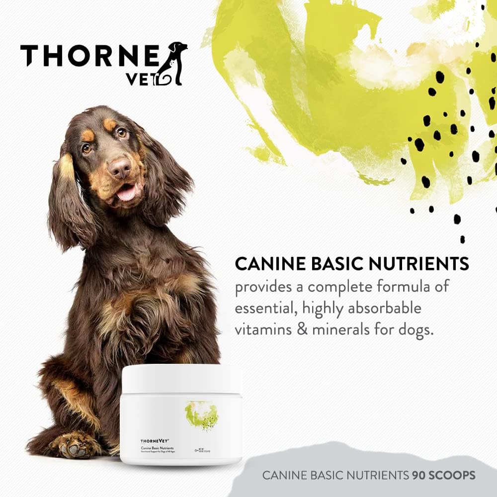 Canine Basic Nutrients Powder – Multivitamínico para Perros, 90 Dosis