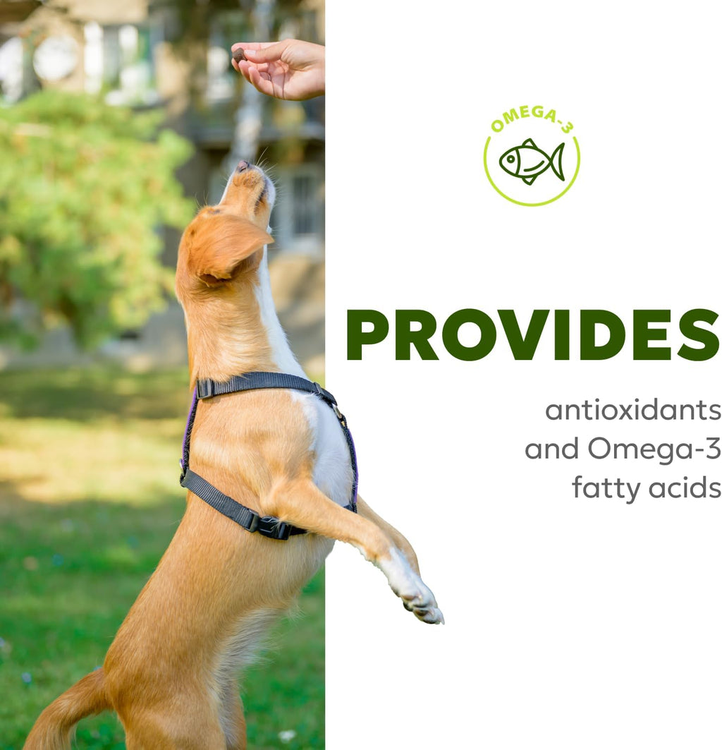 Wholesome Pet Wags – Snacks Blandos para Alivio de Alergias y Picor en Perros – Omega-3, Biotina, Colágeno – 60 uds