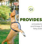 Wholesome Pet Wags – Snacks Blandos para Alivio de Alergias y Picor en Perros – Omega-3, Biotina, Colágeno – 60 uds