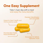 Methyl Factors + - 60 Cápsulas | Vitaminas B, Folato y Riboflavina para Función Normal del Corazón, Hígado y Cerebro, Suplemento Energético y Mejorador del Ánimo