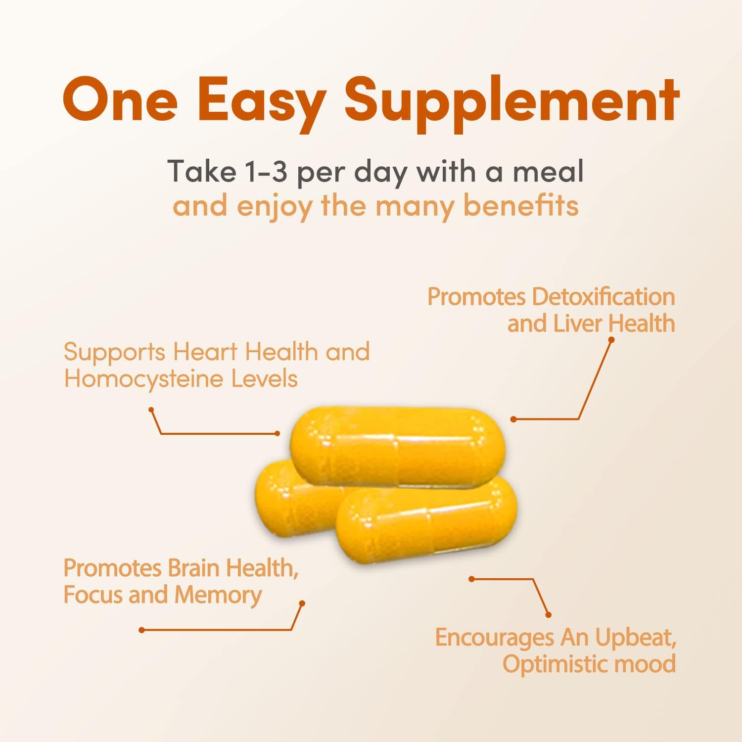 Methyl Factors + - 60 Cápsulas | Vitaminas B, Folato y Riboflavina para Función Normal del Corazón, Hígado y Cerebro, Suplemento Energético y Mejorador del Ánimo