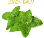 Organic Natural Pure 1.1LB Lemon Balm Extract Powder - 1.1 Pound (500 gramos)
