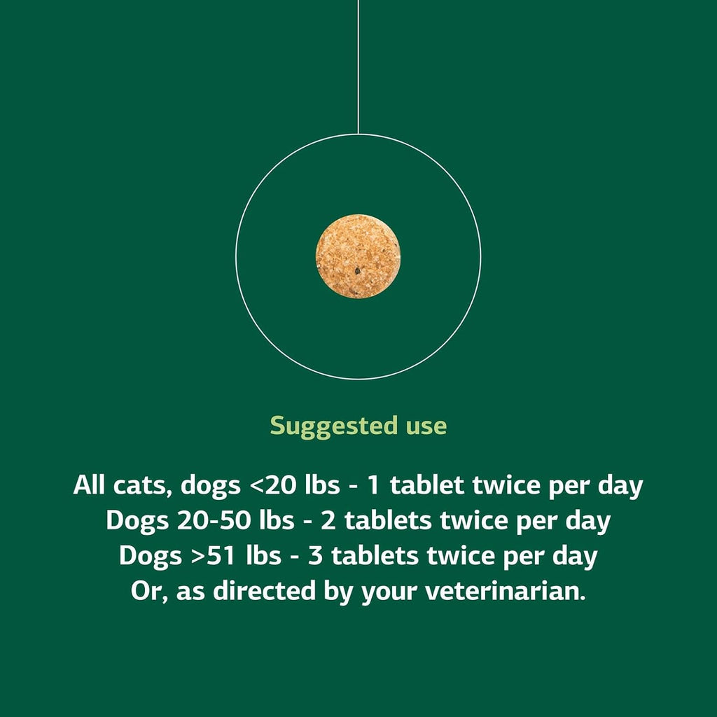 Standard Process VF Bio-Dent for Pets - 90 Tablets