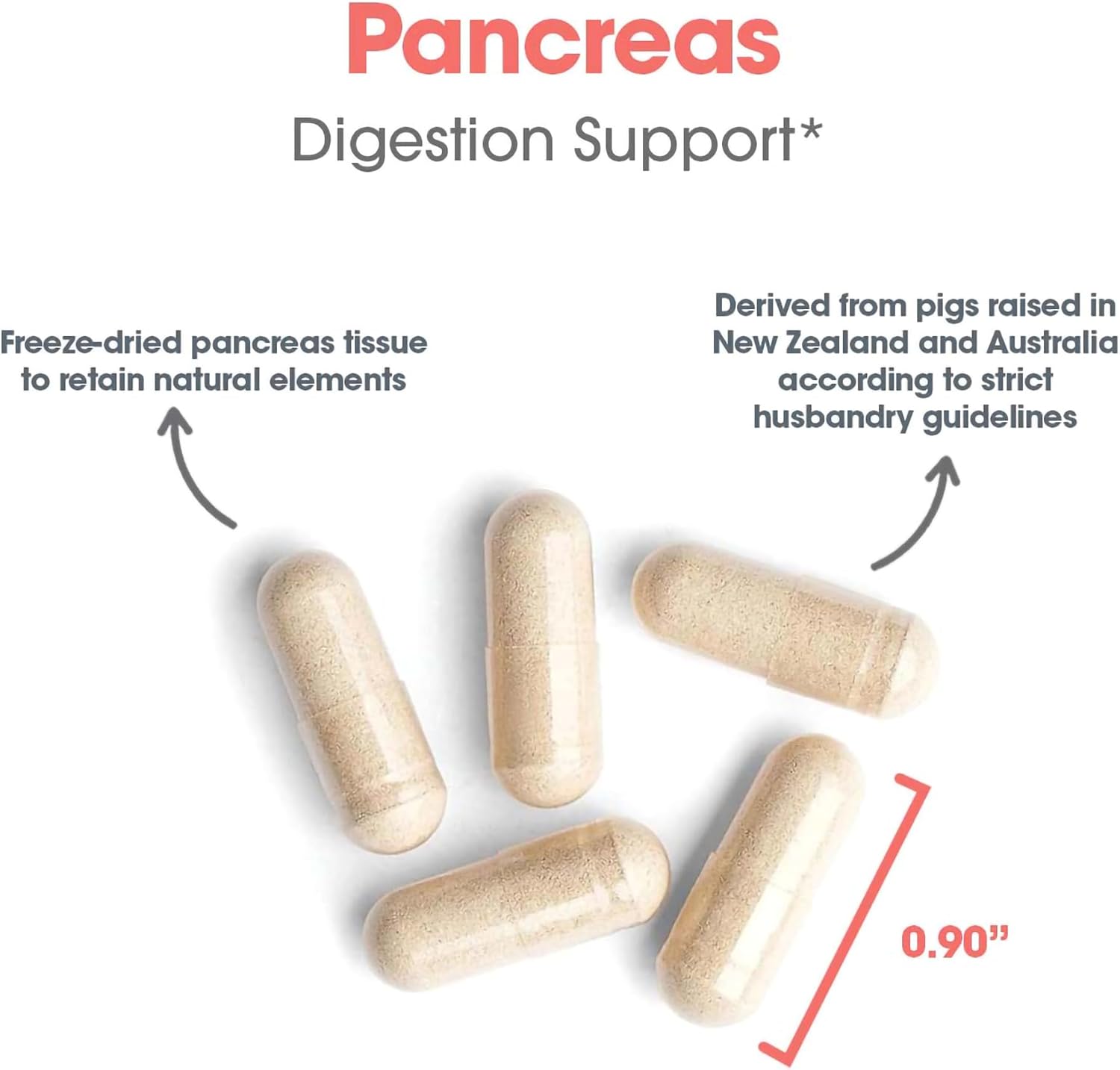Allergy Research Group ARG Páncreas Glandular Natural – 720 Cápsulas