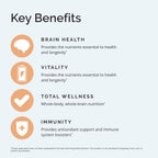 BRAINMD Neuro Greens Superfood - Polvo Nutricional con Frutas, Verduras y Hongos Medicinales - 224 g