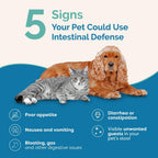 PranaPets Intestinal Defense Supplement for Dogs & Cats | Naturally Helps Digestive Issues in Pets | Herbal Formula | 2-Pack